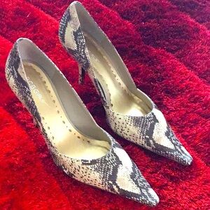 BG-KATCHEH5 Brown-Beige/Multi-Baby Snake Heels